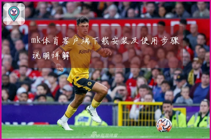 mk体育客户端下载安装及使用步骤说明详解