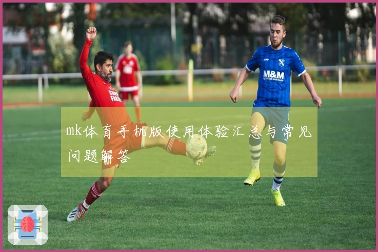 mk体育手机版使用体验汇总与常见问题解答